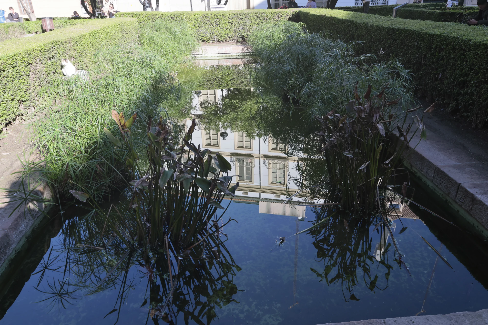 Tokina at-x 116 (EF) - _I4A2250.webp